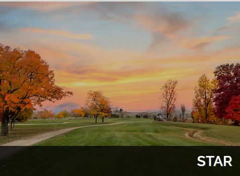 Screenshot 2025 06 24 074007 https://kannoncallis.com