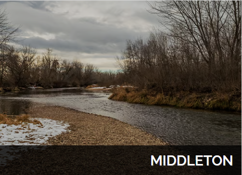 Screenshot 2025 06 24 074021 https://kannoncallis.com